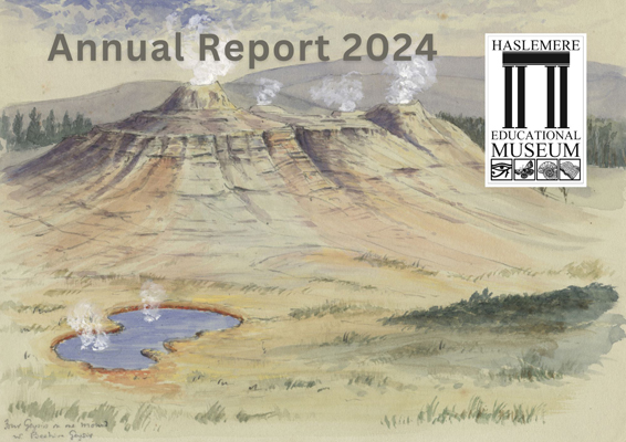Annual Report 2024